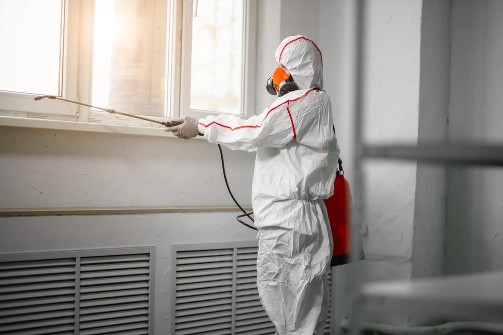 Professional mold remediation services in Hutchinson, MN